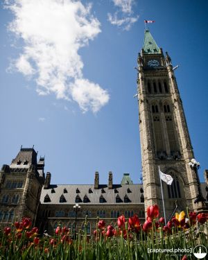 Peace Tower 2